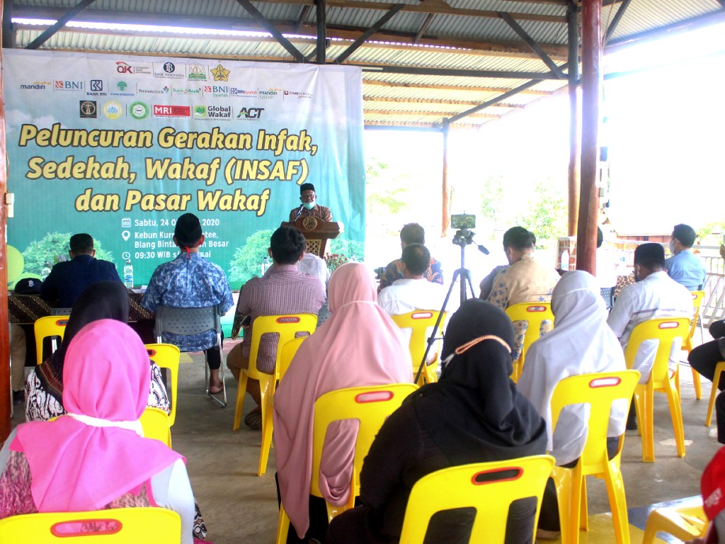 Gerakan INSAF ACT