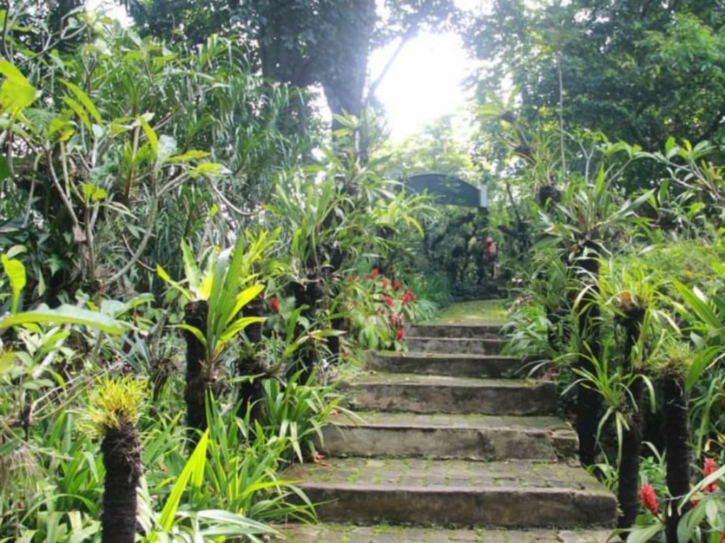 Kawasan Taman Anggrek Kebun Raya Bogor