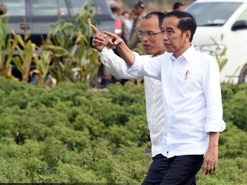 Jokowi di Humbahas