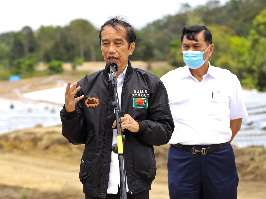 Jokowi dan Luhut