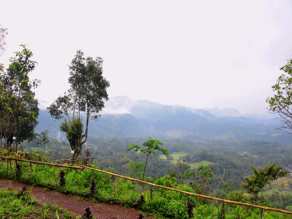 Kawasan perbukitan Gunung Singkup