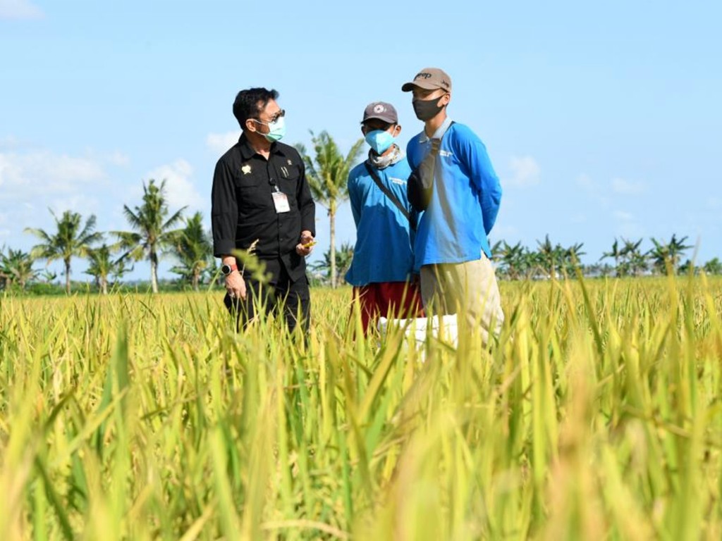 Menteri Pertanian