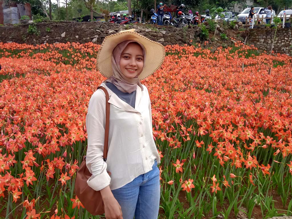 Cerita Bunga Amarilis Yogyakarta (1)