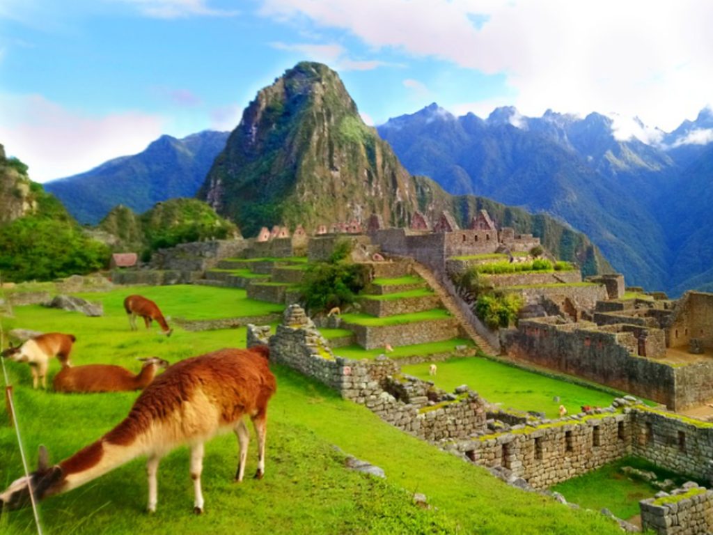 Machu Picchu