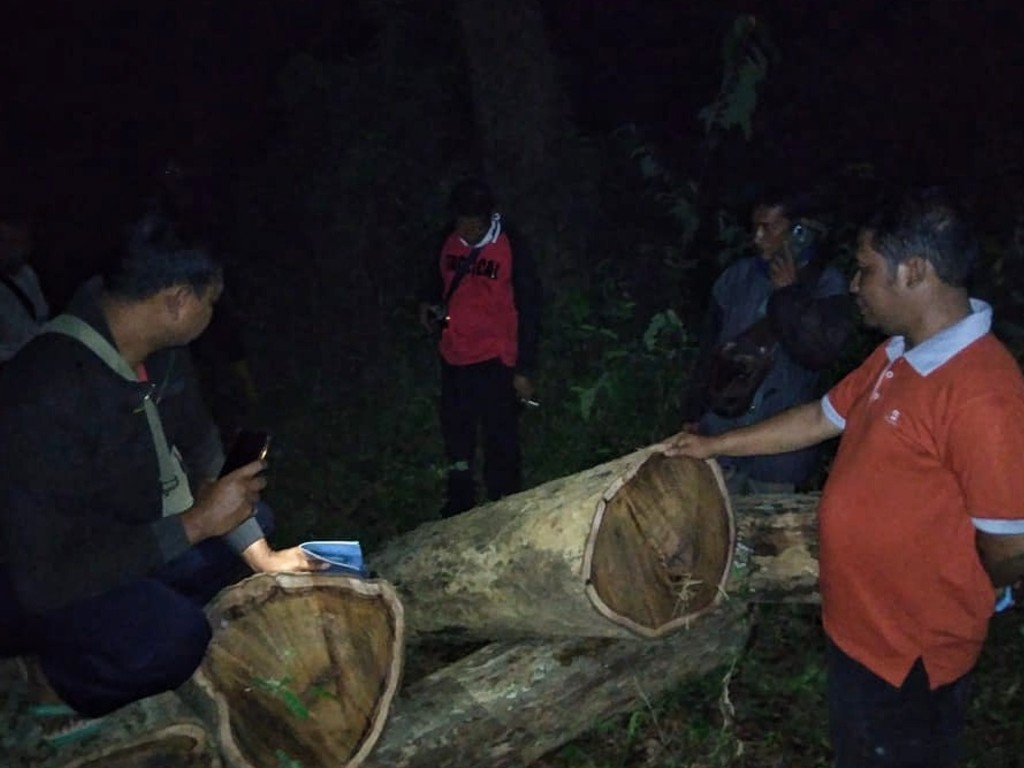 Kayu Sonokeling