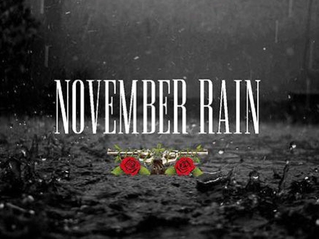 November Rain 2024 Niles Ohio Rosy