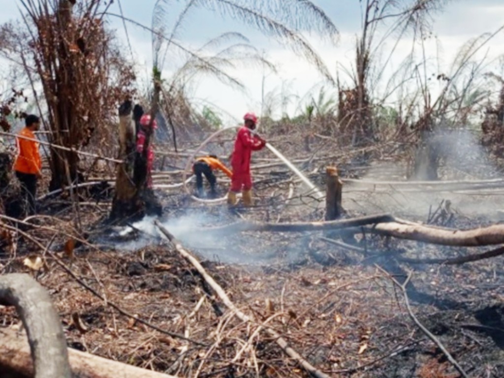 Pemadaman Kebakaran Hutan