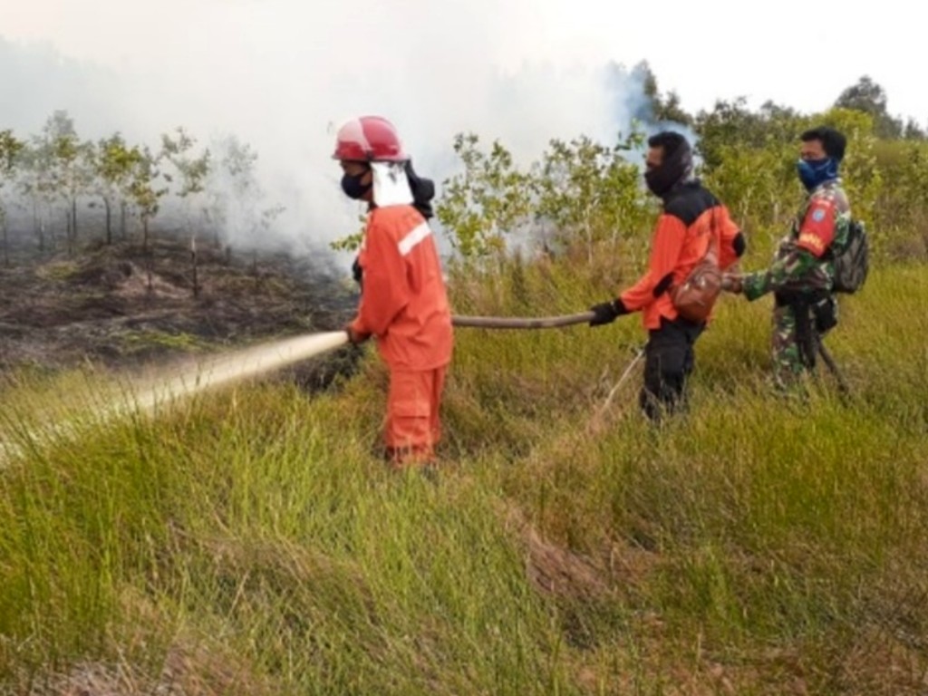 Pemadaman kebakaran hutan