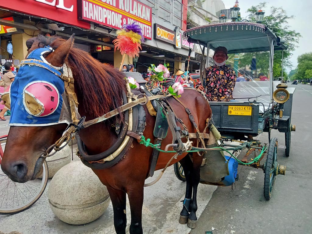 Cerita Pedestrian Malioboro (3)