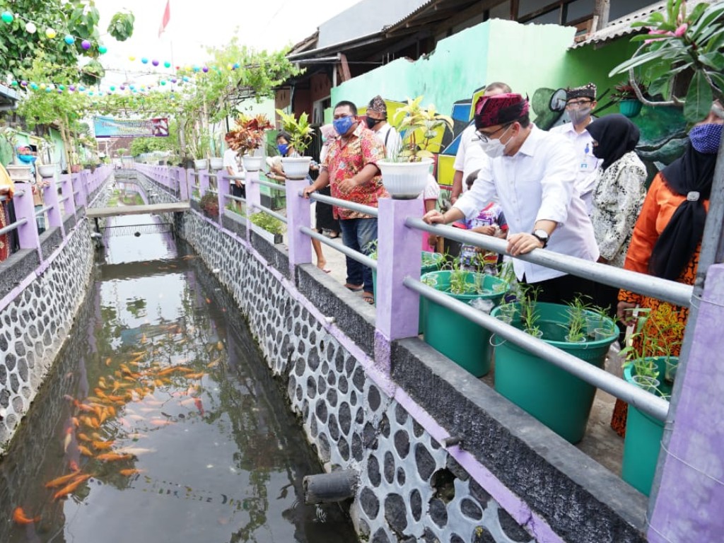 Bupati Banyuwangi