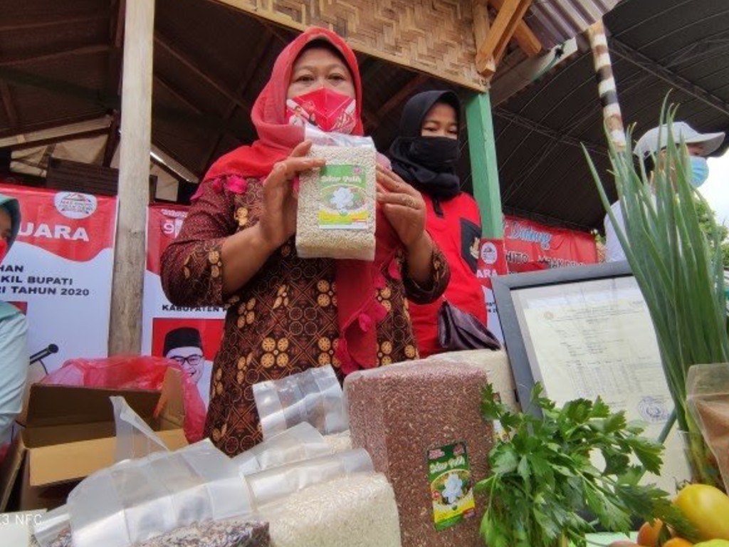 Nasi Tiwul