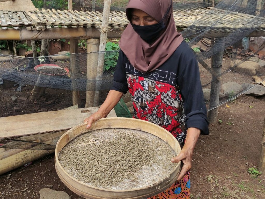 Nasi Tiwul