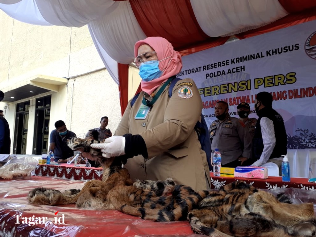 Perdagangan Satwa Dilindungi di Aceh