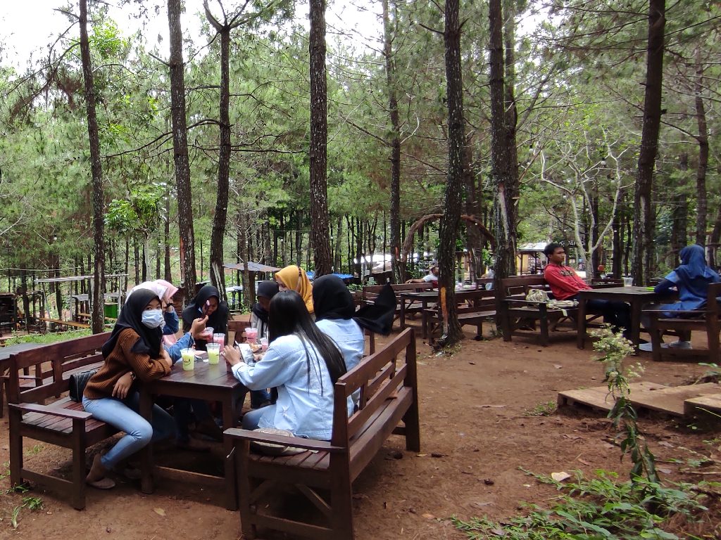 Kedai 66 Pinus Kediri