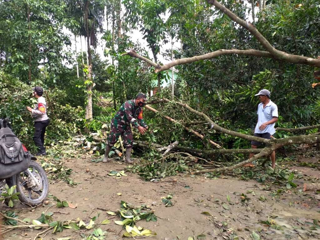 Angin Kencang di Simalungun