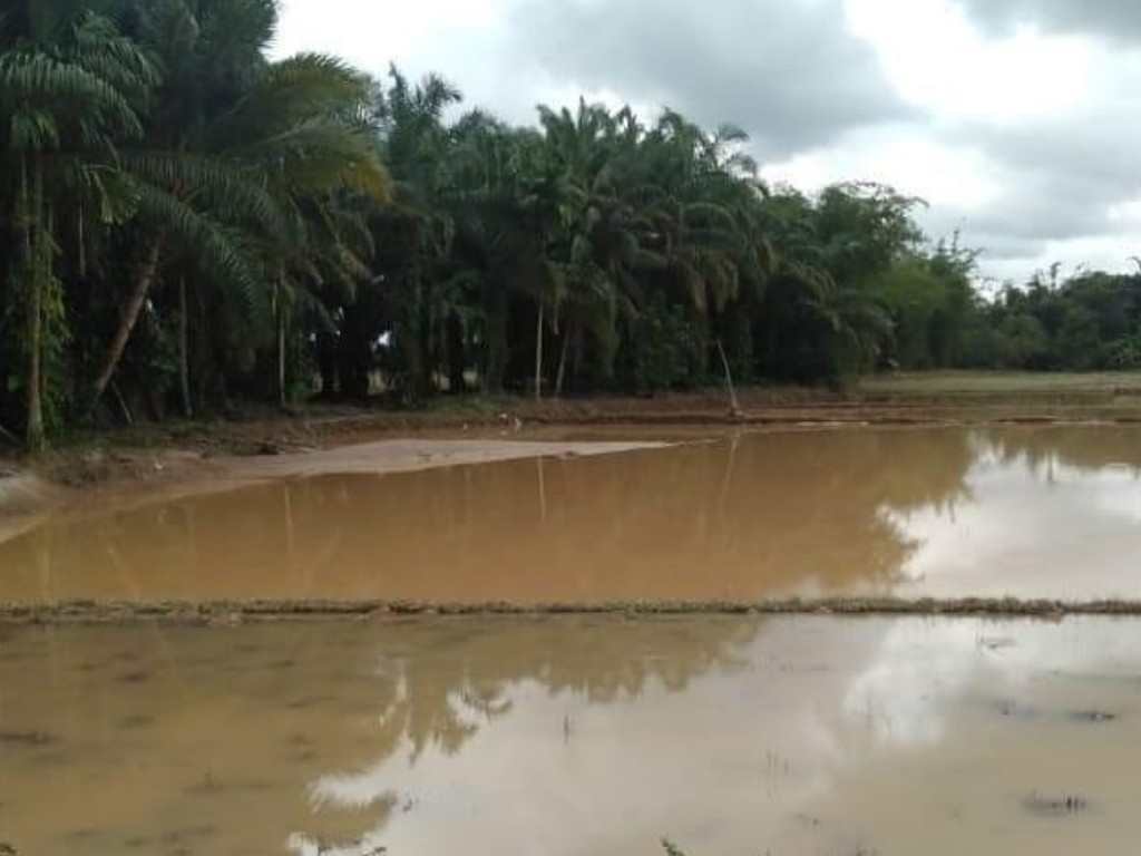 Banjir di Padang Pariaman