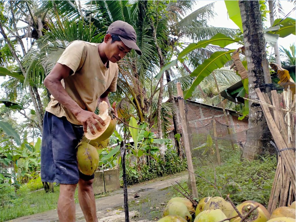 Cerita Pemetik Kelapa (3)