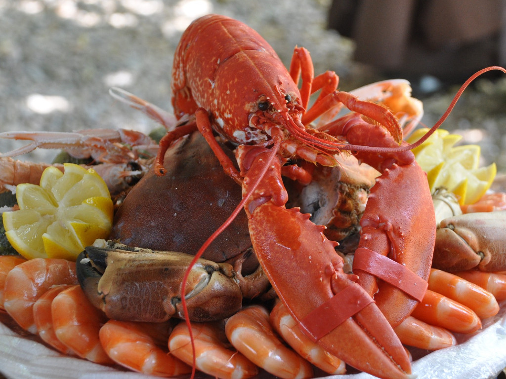 Lobster - seafood