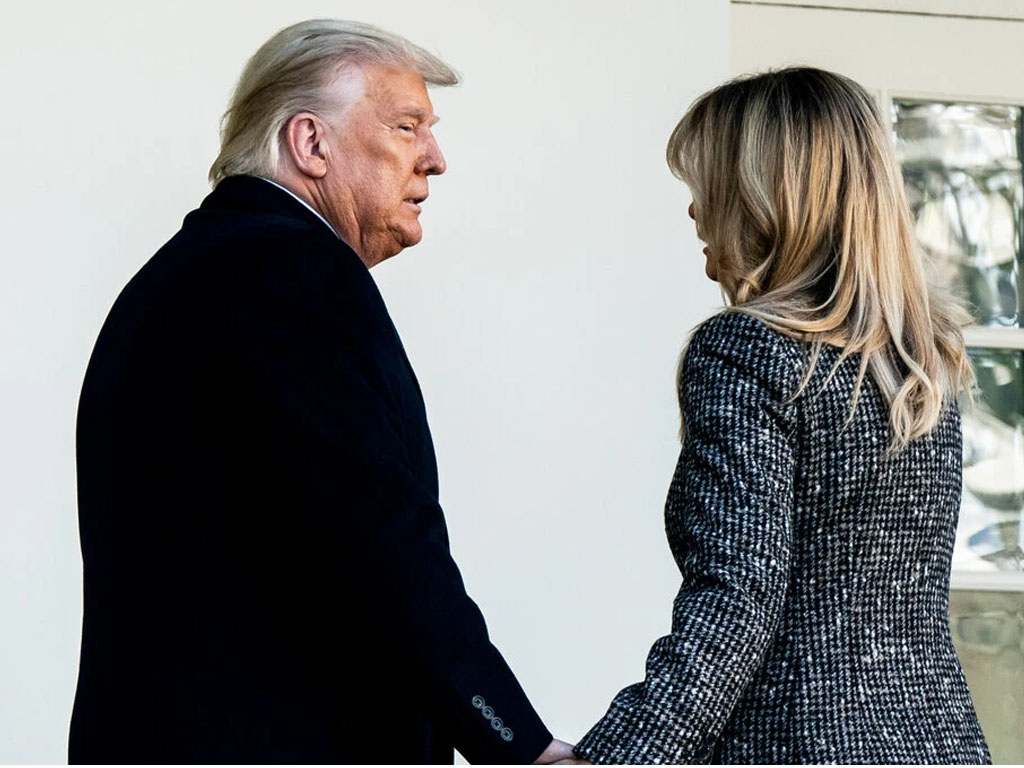 trump dan melania