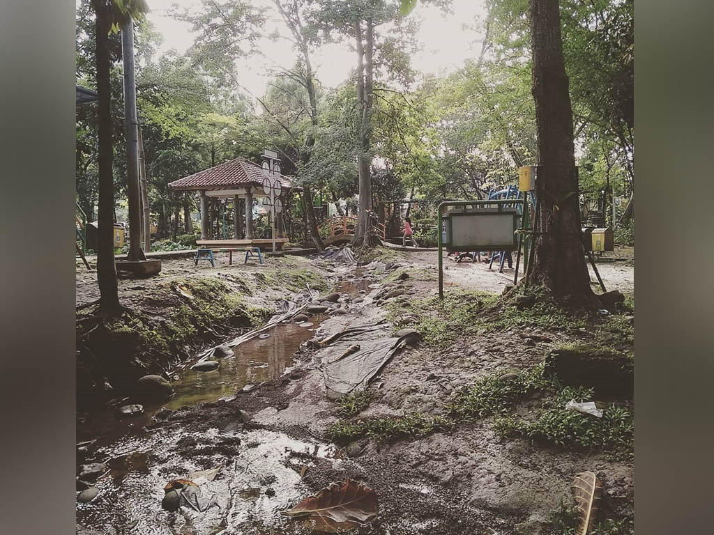 Hutan Depok