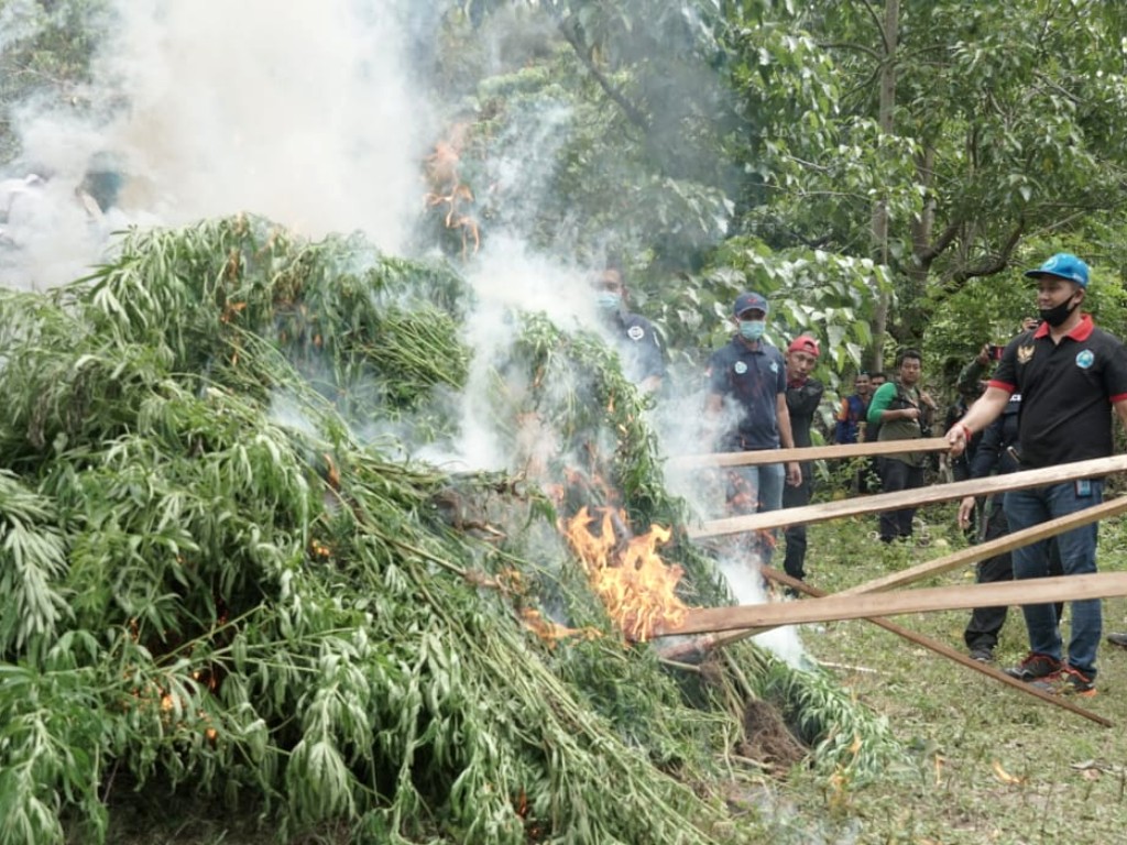 Ganja di Aceh Besar