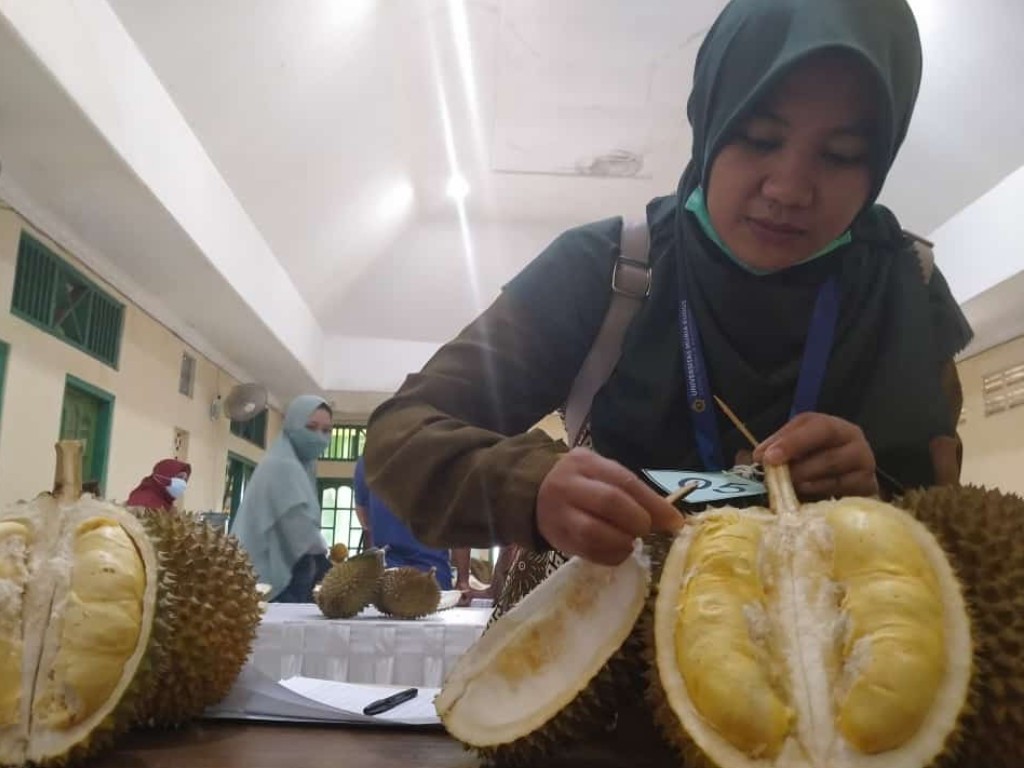 Durian Jepara