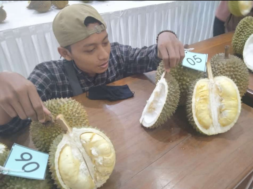 Durian Jepara