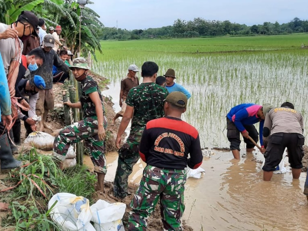 gotong royong