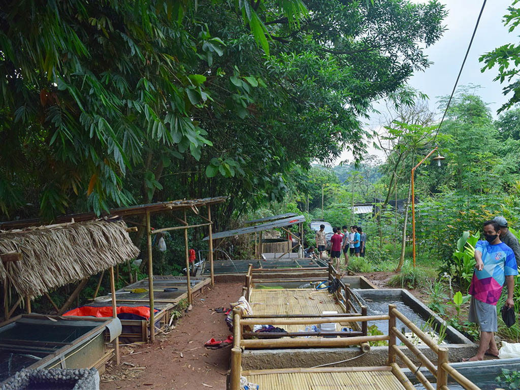 Cerita Kampung Ramah Lingkungan (1)