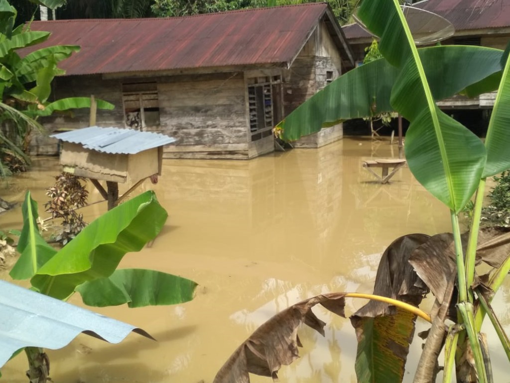 Banjir di Tamiang