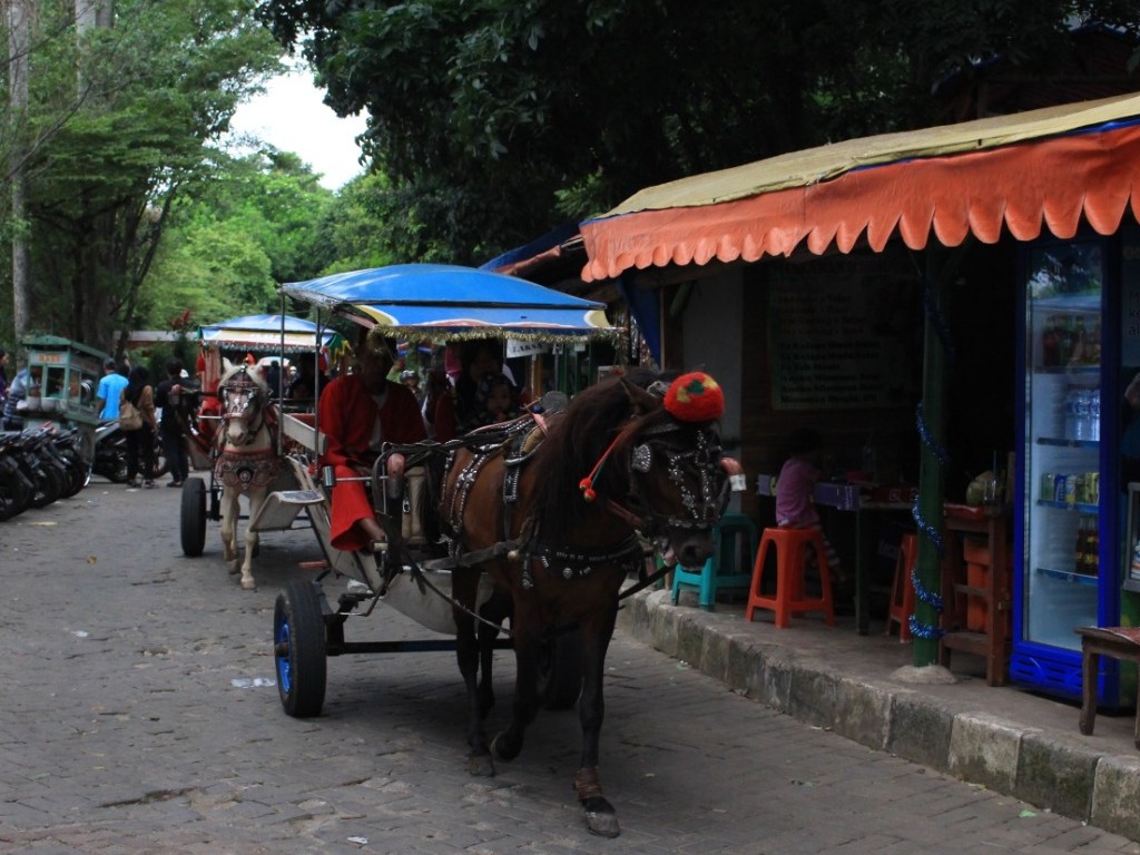 Setu Babakan