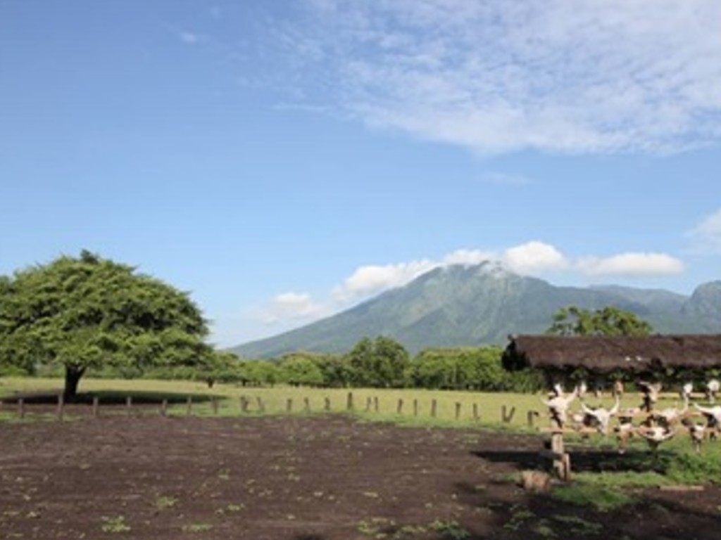 Taman Nasional Baluran.