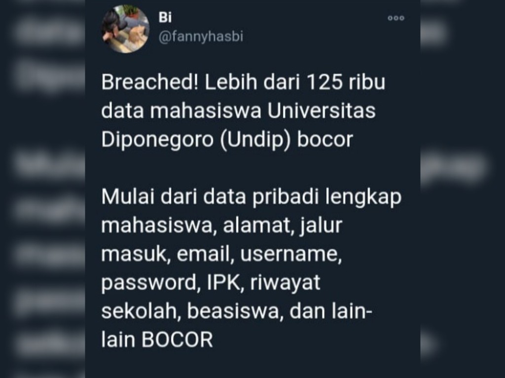 data mahasiswa undip bocor