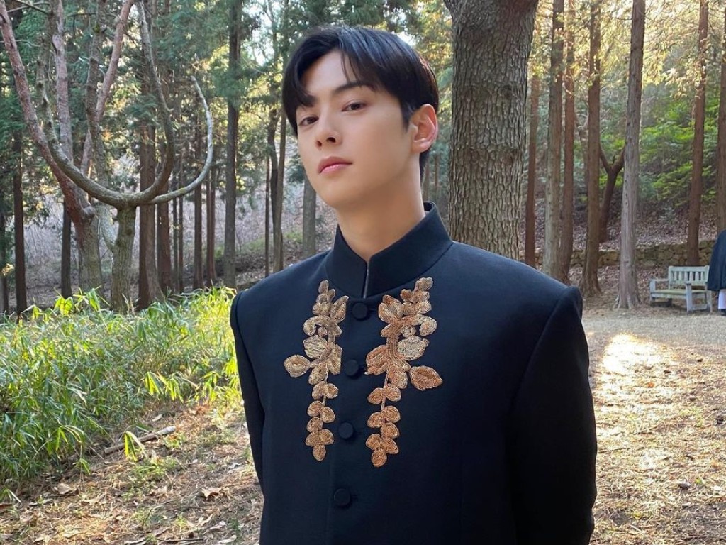 Profil Cha Eun Woo