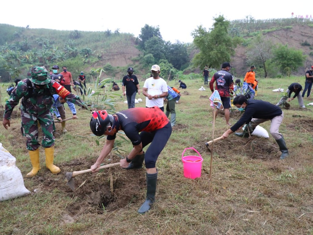 ganjar tanam pohon