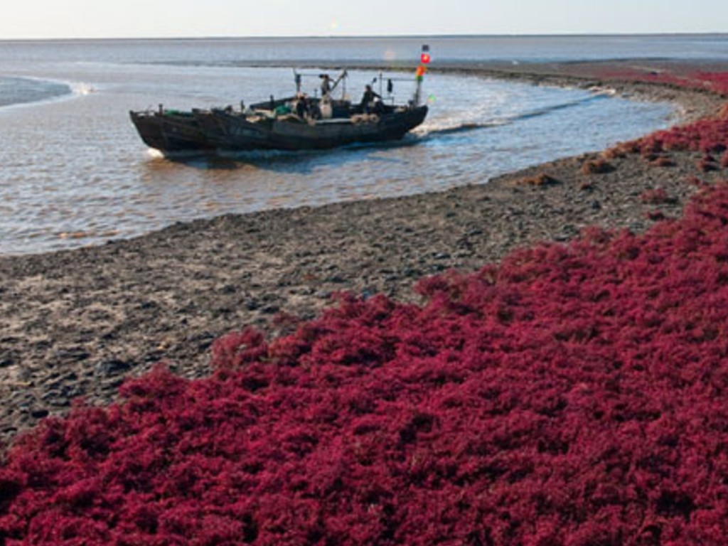 Red Beach