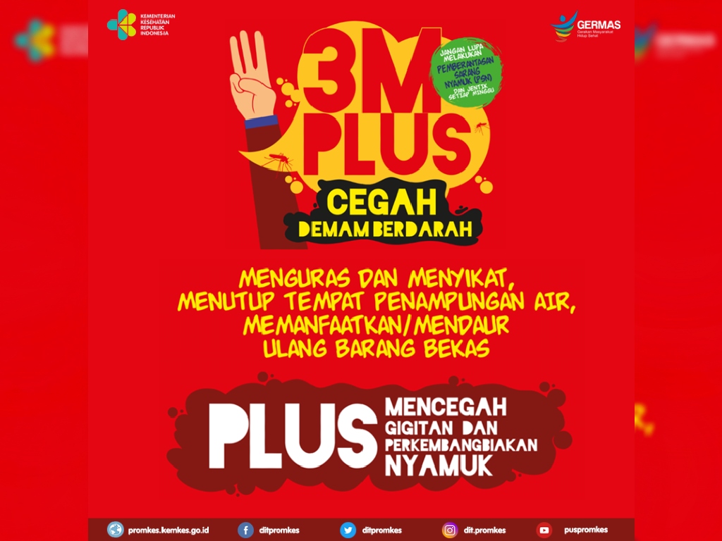 3M Plus