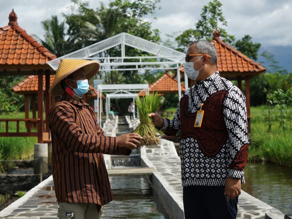 Petani Desa Candi Binangun