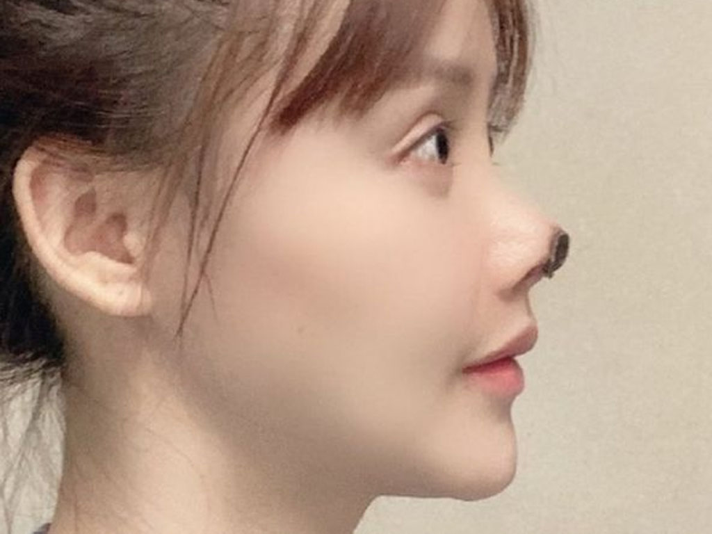 ujung hidung