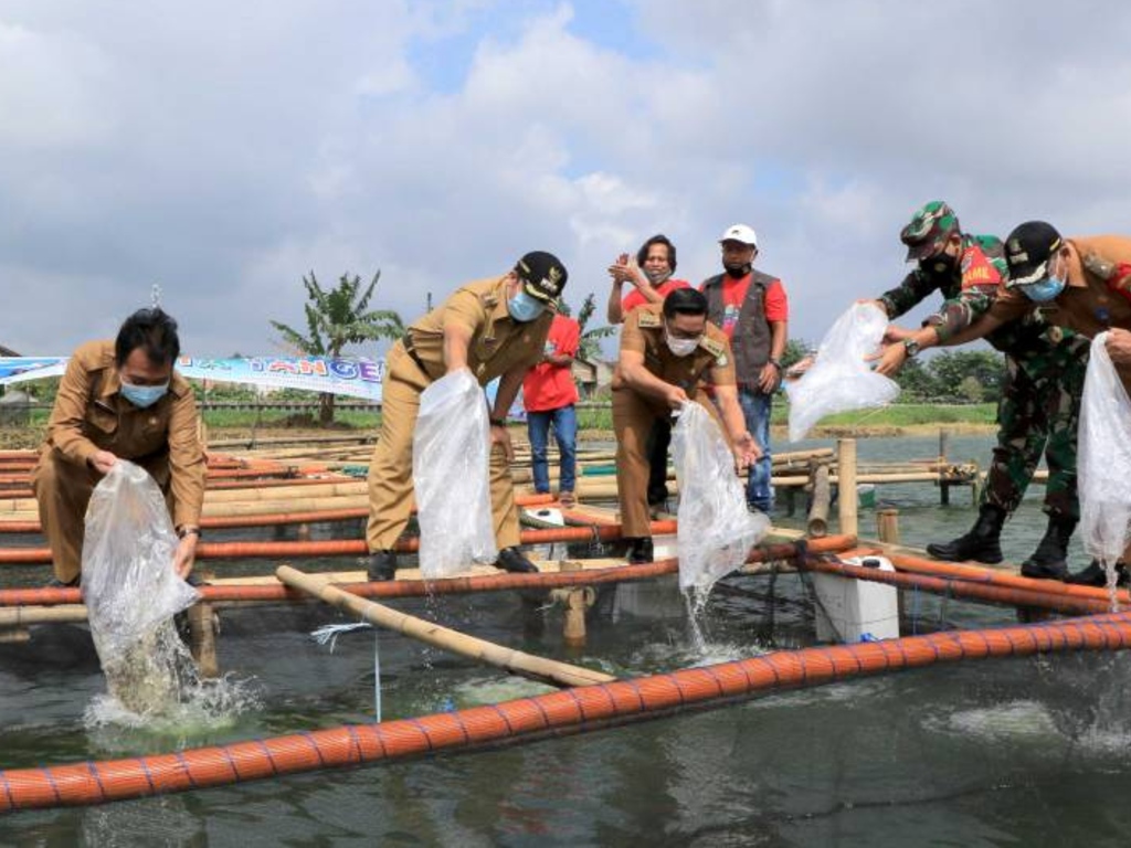 Pemerintah Kota Tangerang