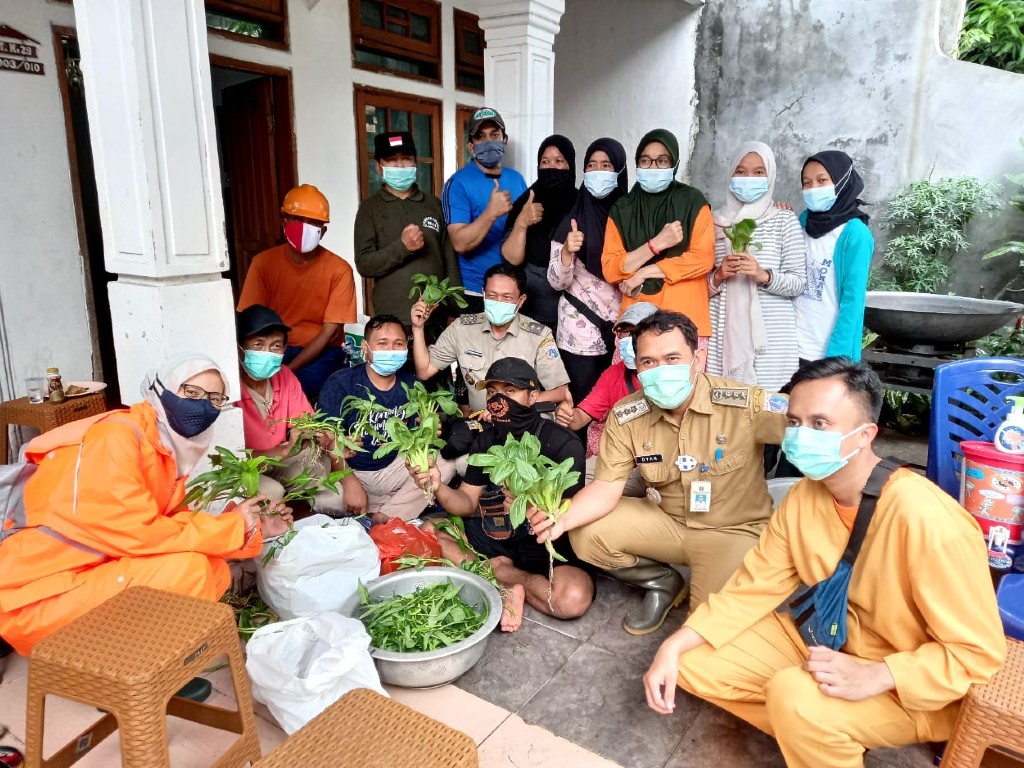 Panen kangkung hydroponic