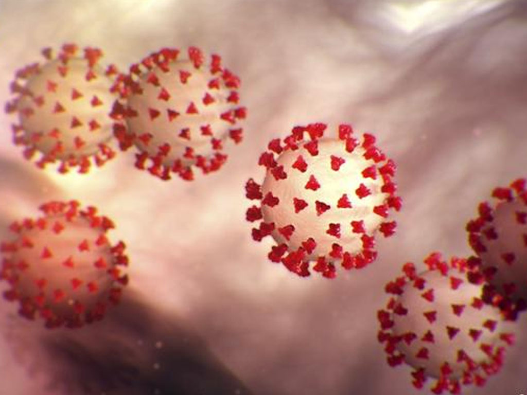 virus corona