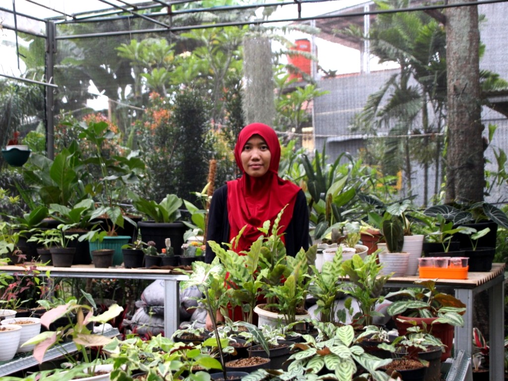 Nurhayati Taman Umi