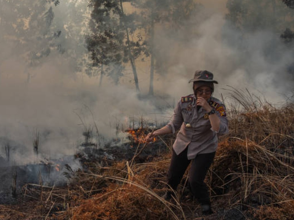 Kebakaran Lahan di Riau