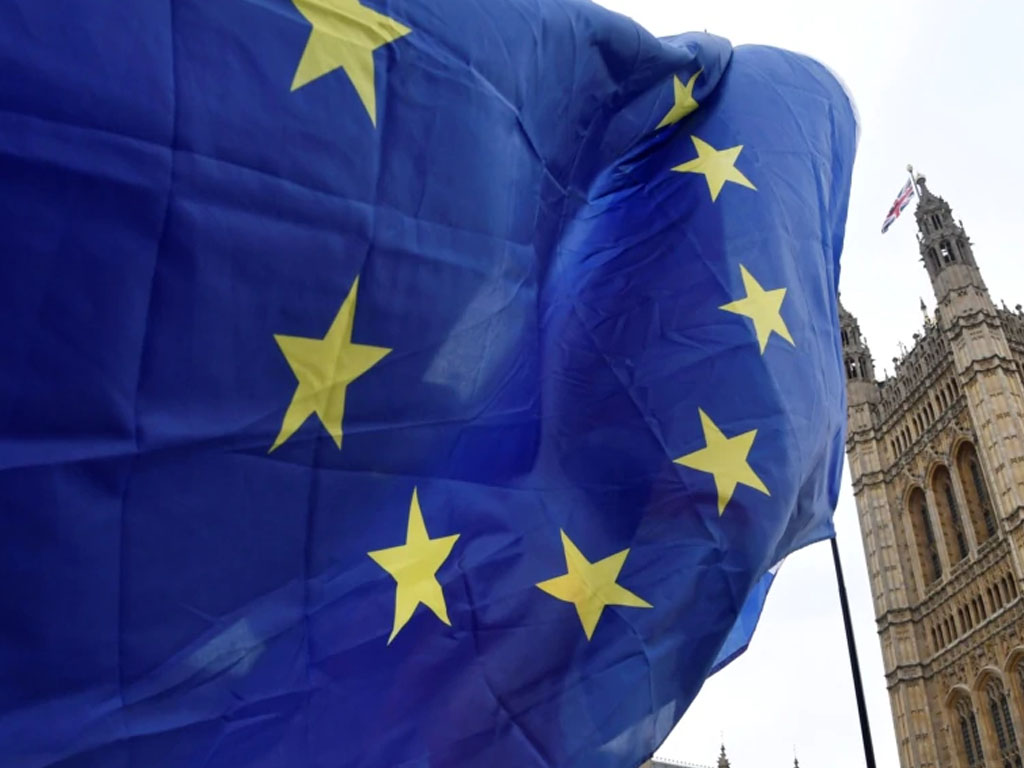 anti brexit