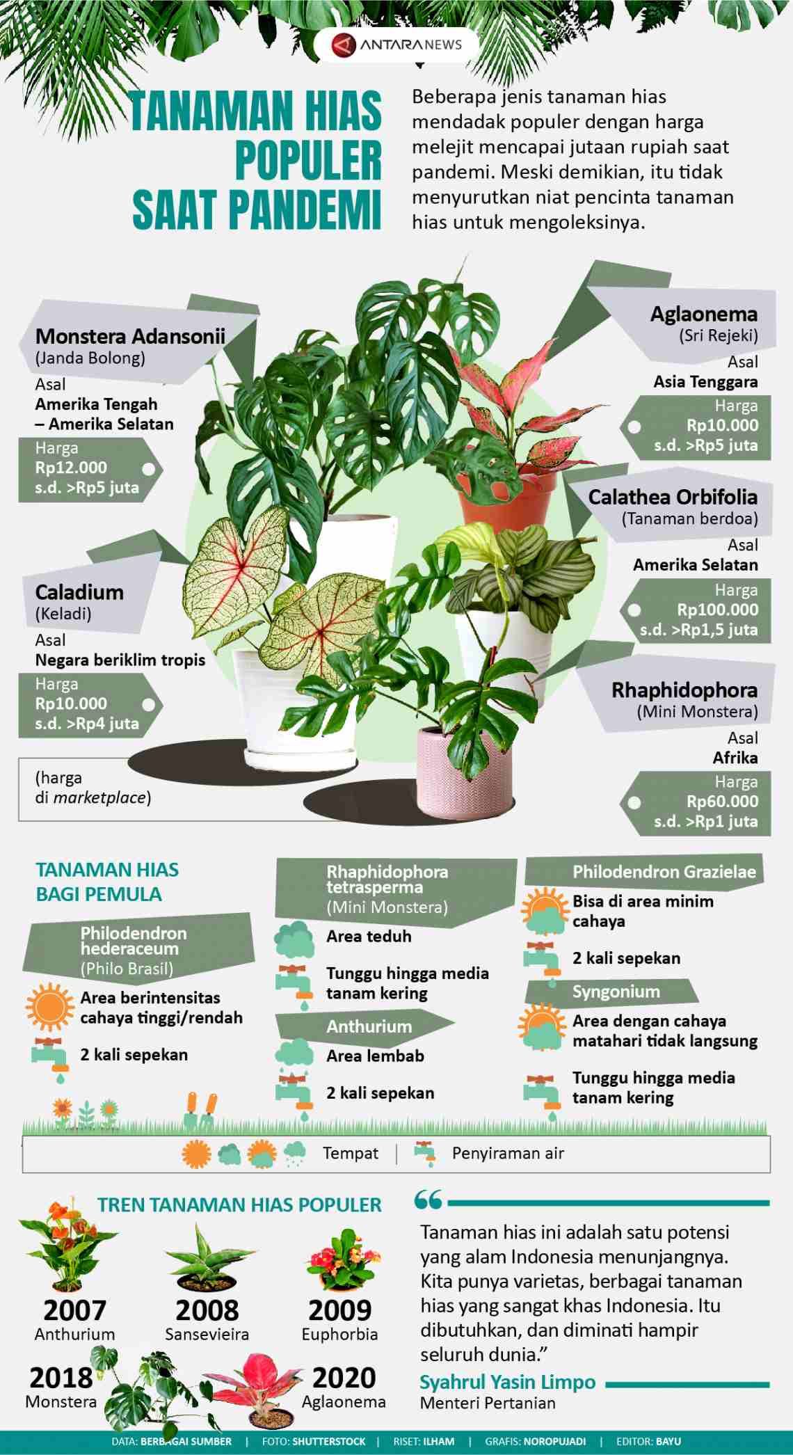 Infografis Tanaman Hias