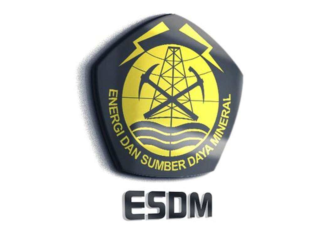 Logo ESDM