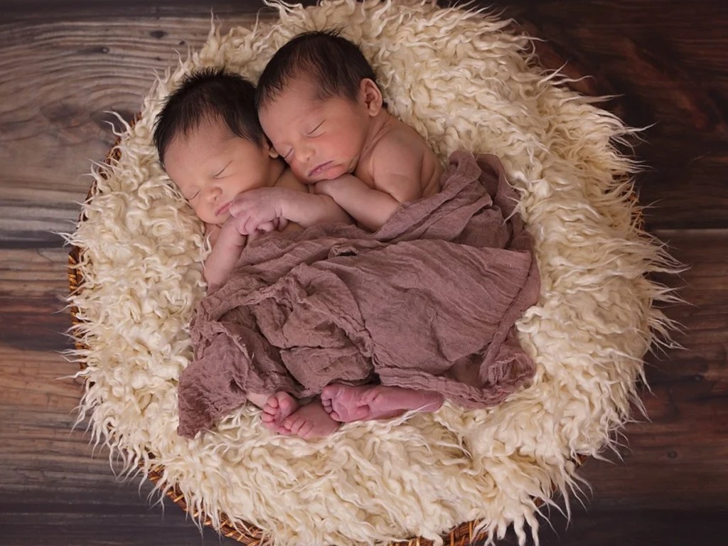 Ilustrasi Bayi Kembar