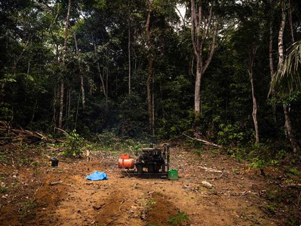 pembukaan hutan di brasil