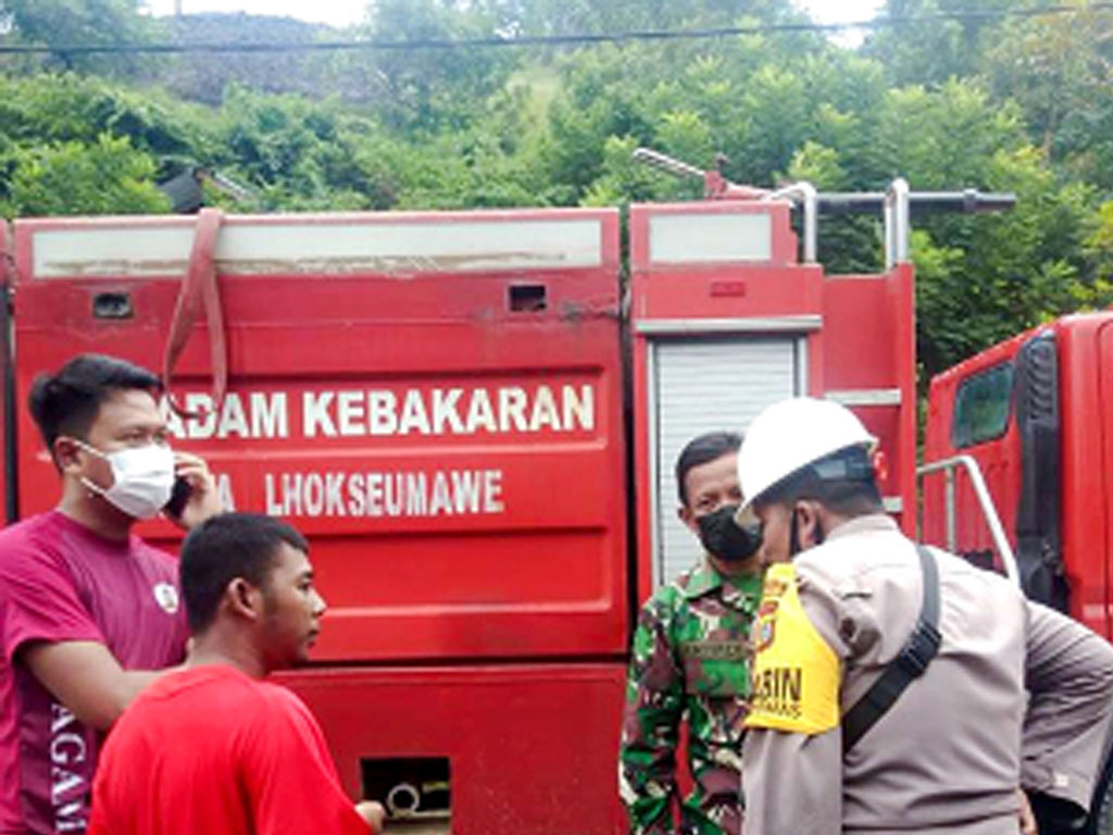 hutan lhokseumawe2